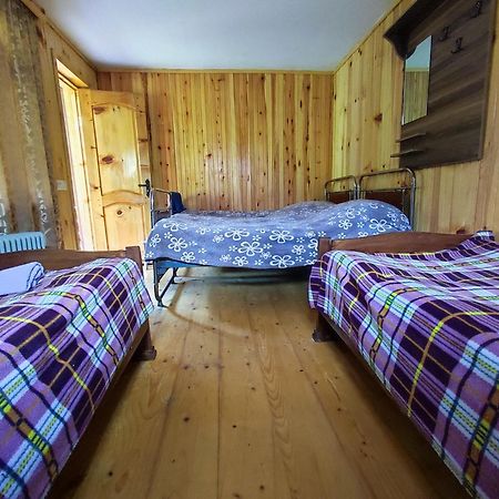 Adishi Guest House Zhora Kaldani Bagian luar foto