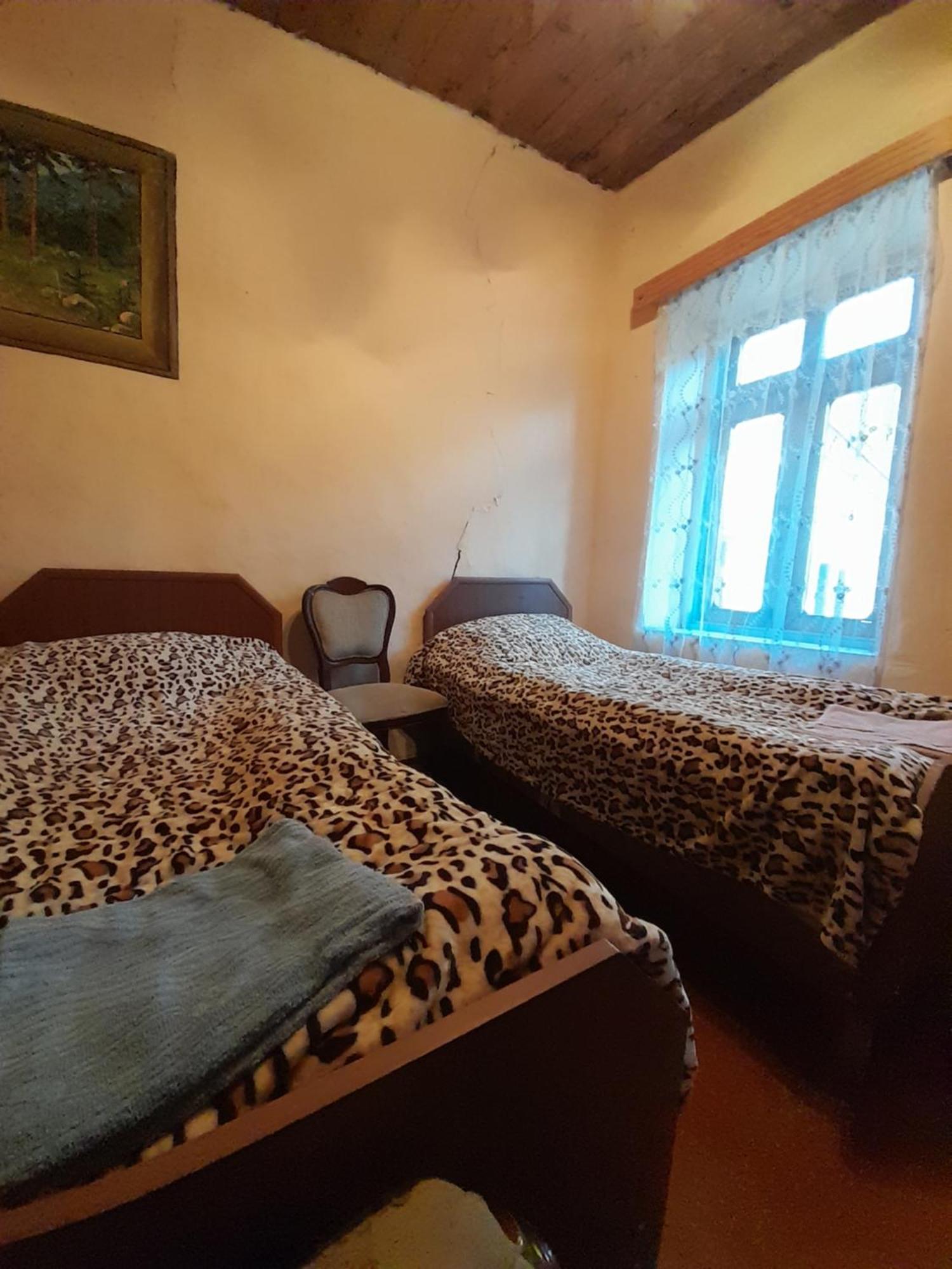 Adishi Guest House Zhora Kaldani Bagian luar foto