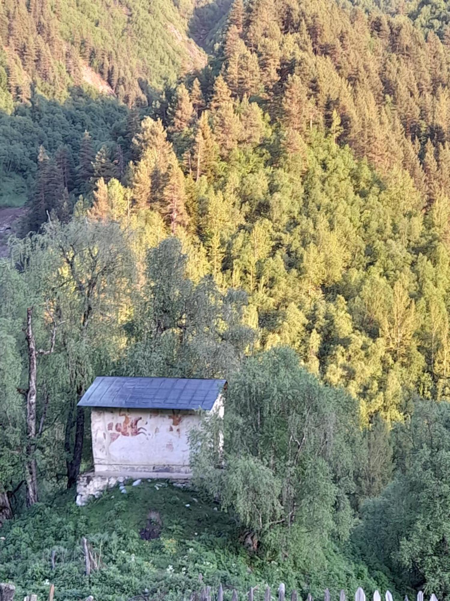 Adishi Guest House Zhora Kaldani Bagian luar foto